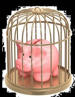 pig_prison